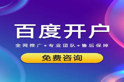 SEM服务案例：提升网站流量